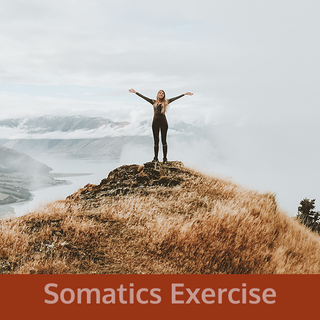Intelligent Pilates | Somatics Exercise